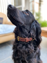 Load image into Gallery viewer, Dog Collar
